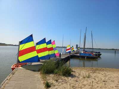 steiger-alw-met-optimisten